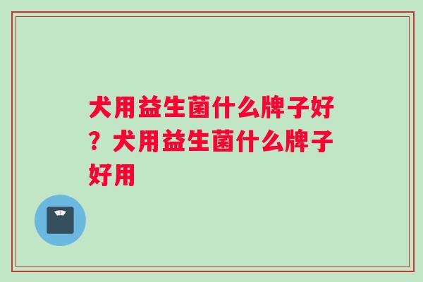 犬用益生菌什么牌子好?犬用益生菌什么牌子好用 犬用益生菌什么牌子好?犬用益生菌什么牌子好用