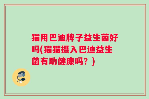 猫用巴迪牌子益生菌好吗(猫猫摄入巴迪益生菌有助健康吗？)