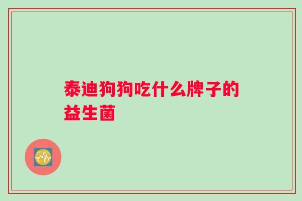 泰迪狗狗吃什么牌子的益生菌