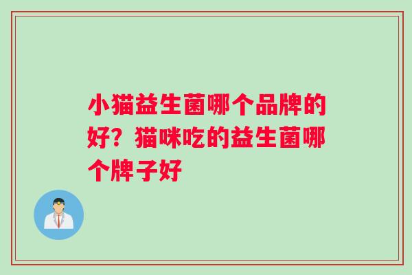 小猫益生菌哪个品牌的好?猫咪吃的益生菌哪个牌子好 小猫益生菌哪个品牌的好?猫咪吃的益生菌哪个牌子好