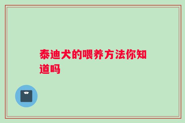 泰迪犬的喂养方法你知道吗