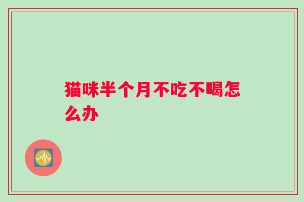 猫咪半个月不吃不喝怎么办