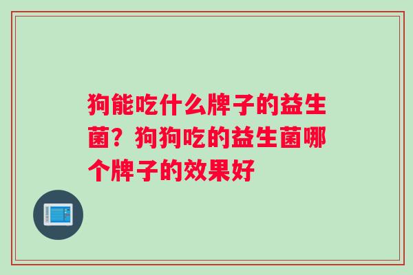 狗能吃什么牌子的益生菌？狗狗吃的益生菌哪个牌子的效果好