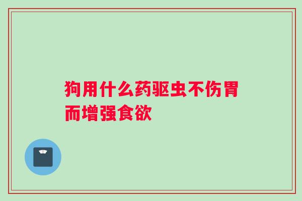 狗用什么药驱虫不伤胃而增强食欲