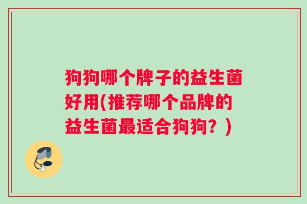 狗狗哪个牌子的益生菌好用(推荐哪个品牌的益生菌最适合狗狗？)
