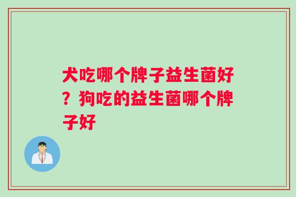 犬吃哪个牌子益生菌好？狗吃的益生菌哪个牌子好