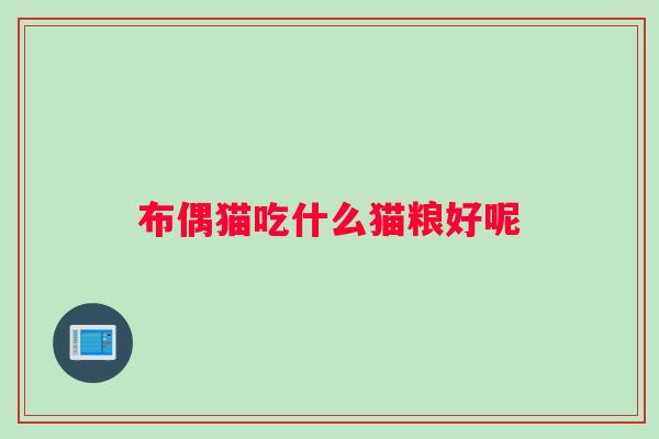 布偶猫吃什么猫粮好呢