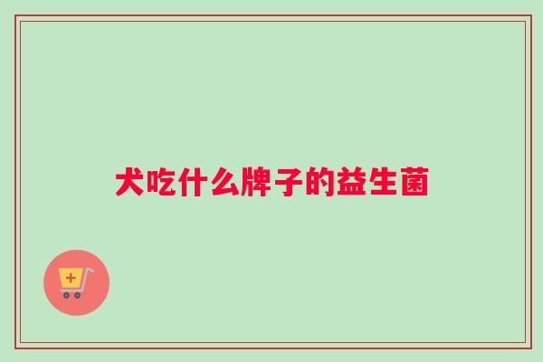 犬吃什么牌子的益生菌