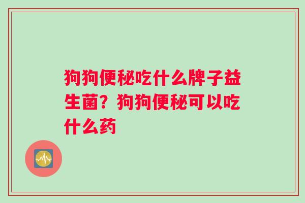 狗狗便秘吃什么牌子益生菌？狗狗便秘可以吃什么药