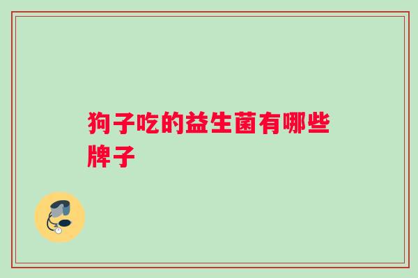 狗子吃的益生菌有哪些牌子