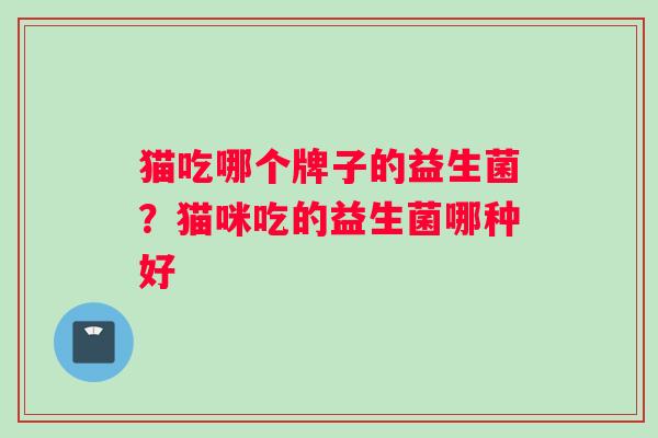 猫吃哪个牌子的益生菌?猫咪吃的益生菌哪种好 猫吃哪个牌子的益生菌?猫咪吃的益生菌哪种好