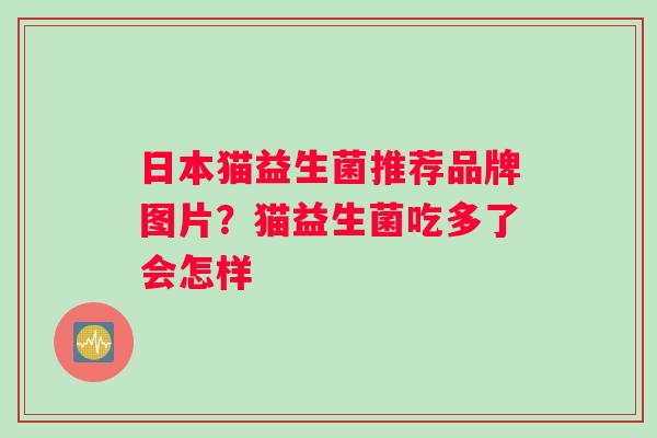 日本猫益生菌推荐品牌图片?猫益生菌吃多了会怎样 日本猫益生菌推荐品牌图片?猫益生菌吃多了会怎样