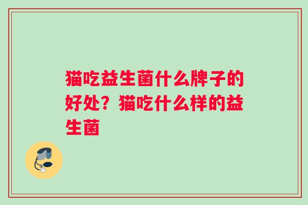 猫吃益生菌什么牌子的好处？猫吃什么样的益生菌