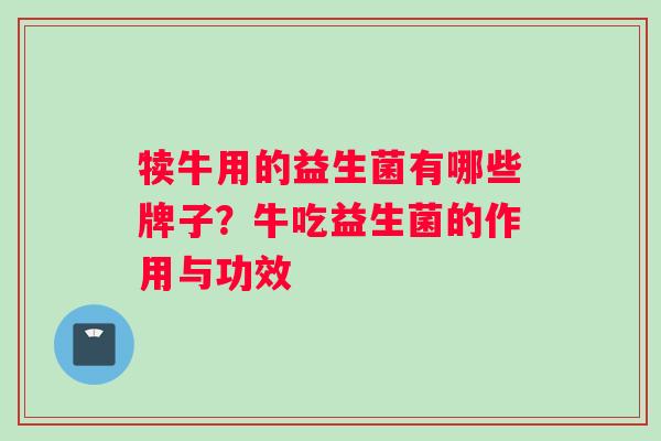 犊牛用的益生菌有哪些牌子？牛吃益生菌的作用与功效