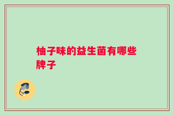 柚子味的益生菌有哪些牌子