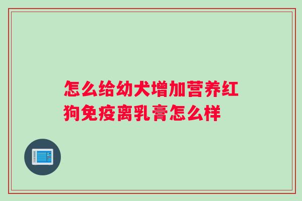 怎么给幼犬增加营养红狗免疫离乳膏怎么样