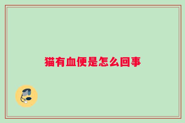 猫有血便是怎么回事