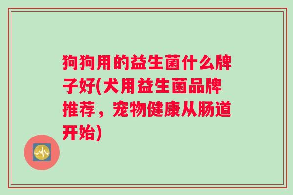 狗狗用的益生菌什么牌子好(犬用益生菌品牌推荐，宠物健康从肠道开始)