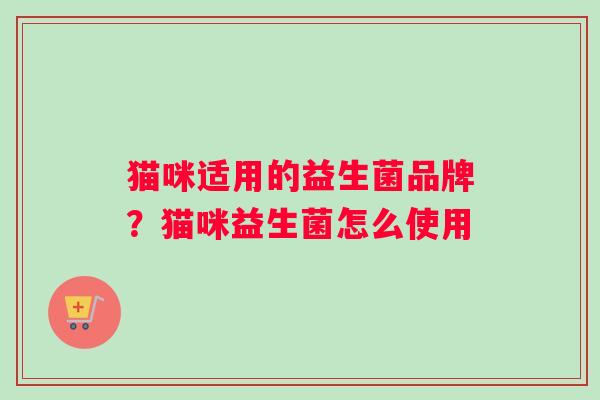 猫咪适用的益生菌品牌？猫咪益生菌怎么使用