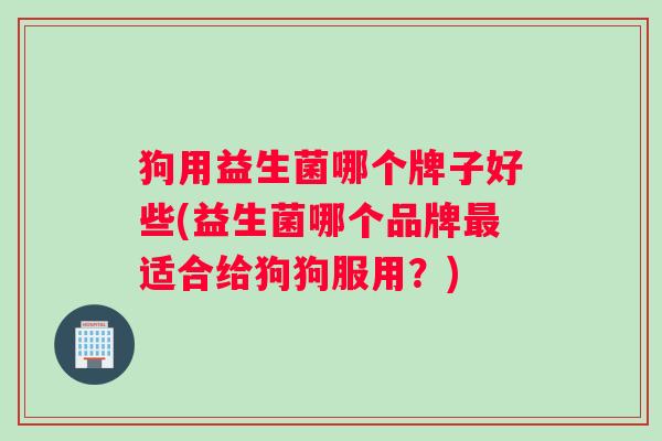 狗用益生菌哪个牌子好些(益生菌哪个品牌最适合给狗狗服用？)