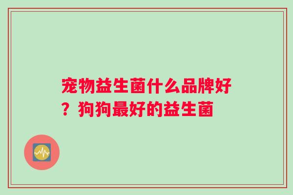 宠物益生菌什么品牌好？狗狗最好的益生菌