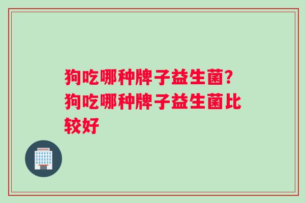 狗吃哪种牌子益生菌？狗吃哪种牌子益生菌比较好