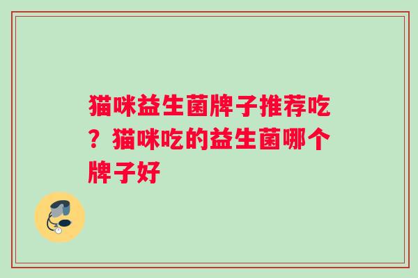 猫咪益生菌牌子推荐吃？猫咪吃的益生菌哪个牌子好