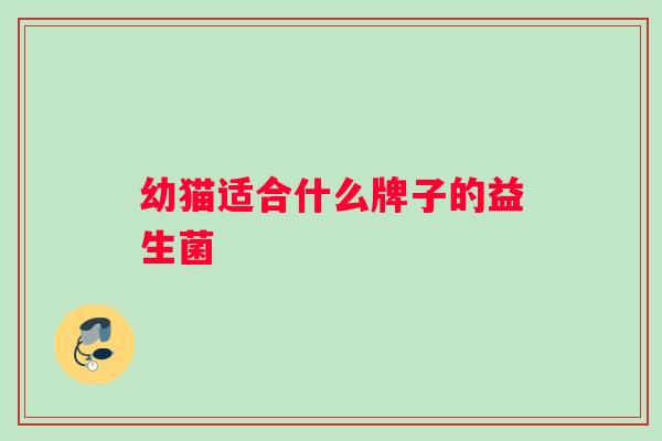 幼猫适合什么牌子的益生菌