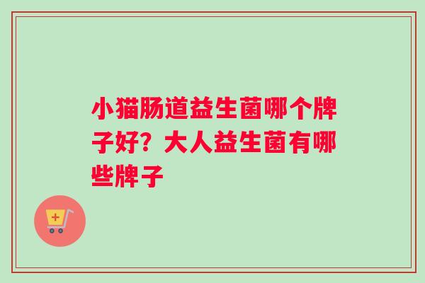 小猫肠道益生菌哪个牌子好？大人益生菌有哪些牌子