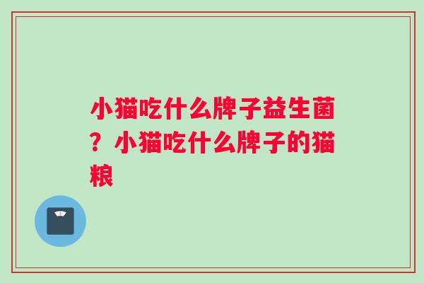 小猫吃什么牌子益生菌？小猫吃什么牌子的猫粮