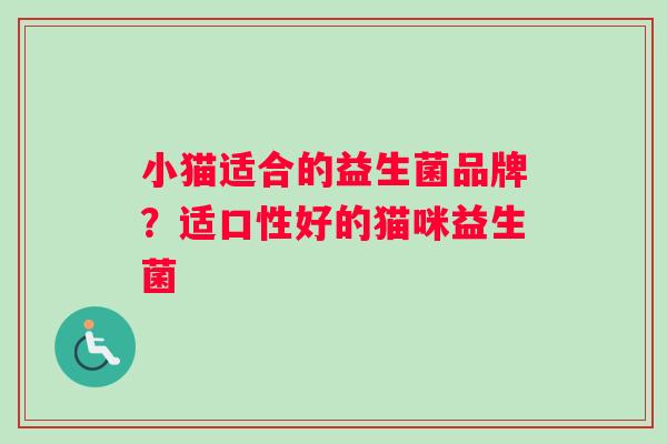 小猫适合的益生菌品牌？适口性好的猫咪益生菌