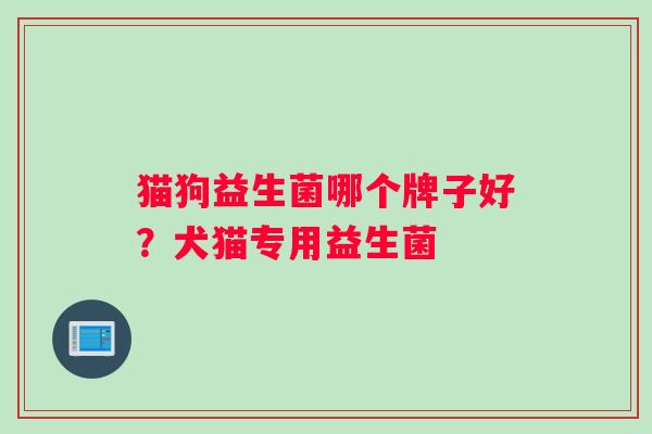 猫狗益生菌哪个牌子好？犬猫专用益生菌
