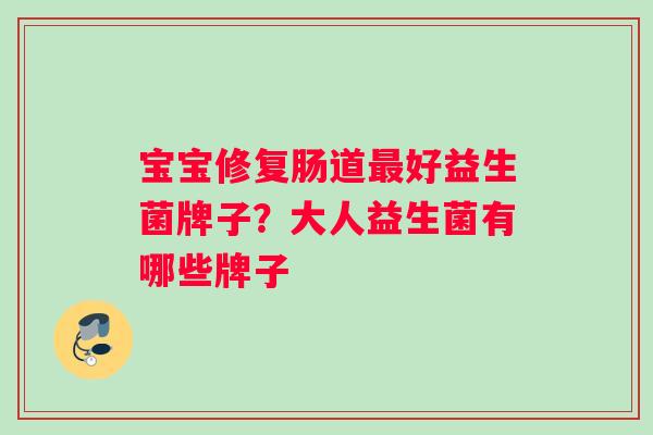 宝宝修复肠道最好益生菌牌子？大人益生菌有哪些牌子