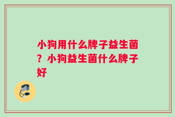 小狗用什么牌子益生菌?小狗益生菌什么牌子好 小狗用什么牌子益生菌?小狗益生菌什么牌子好