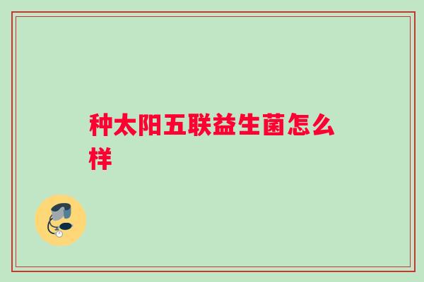 种太阳五联益生菌怎么样