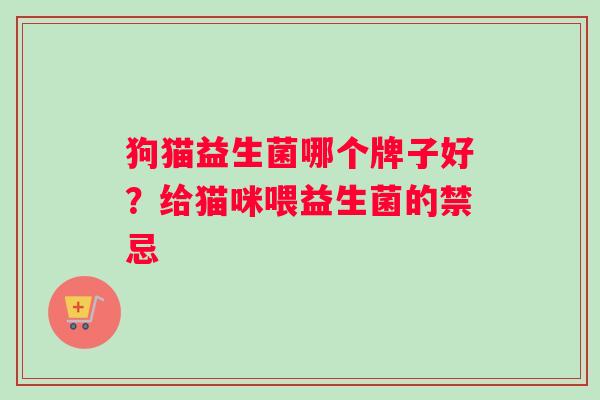 狗猫益生菌哪个牌子好？给猫咪喂益生菌的禁忌