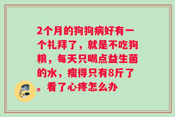 2个月的狗狗病好有一个礼拜了，就是不吃狗粮，每天只喝点益生菌的水，瘦得只有8斤了。看了心疼怎么办