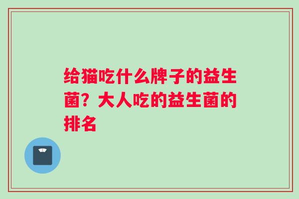 给猫吃什么牌子的益生菌？大人吃的益生菌的排名