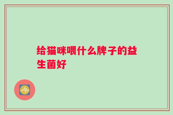 给猫咪喂什么牌子的益生菌好