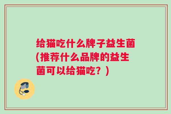 给猫吃什么牌子益生菌(推荐什么品牌的益生菌可以给猫吃？)
