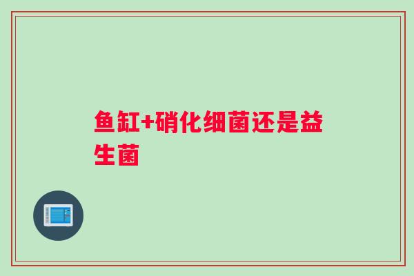鱼缸+硝化细菌还是益生菌