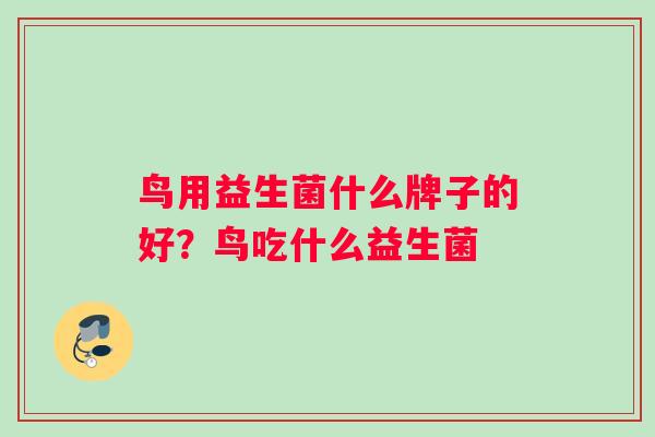 鸟用益生菌什么牌子的好？鸟吃什么益生菌