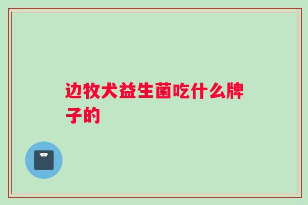 边牧犬益生菌吃什么牌子的