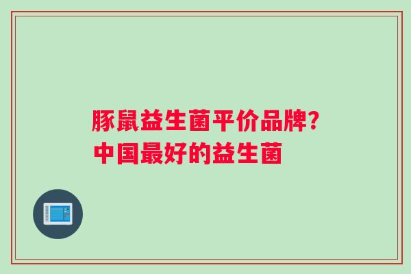 豚鼠益生菌平价品牌？中国最好的益生菌