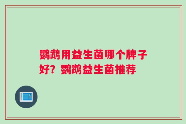 鹦鹉用益生菌哪个牌子好？鹦鹉益生菌推荐