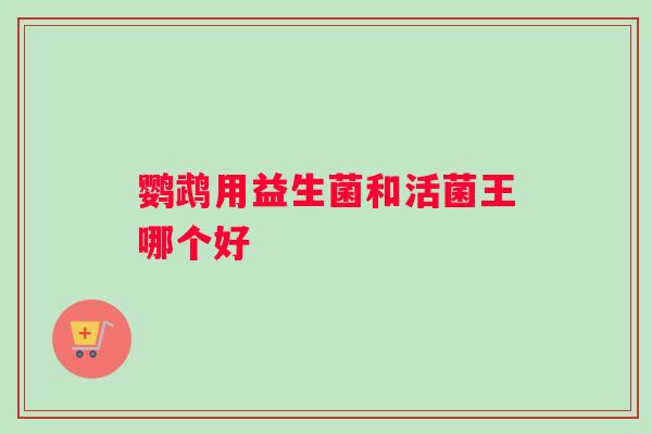 鹦鹉用益生菌和活菌王哪个好