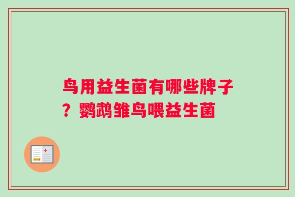 鸟用益生菌有哪些牌子？鹦鹉雏鸟喂益生菌