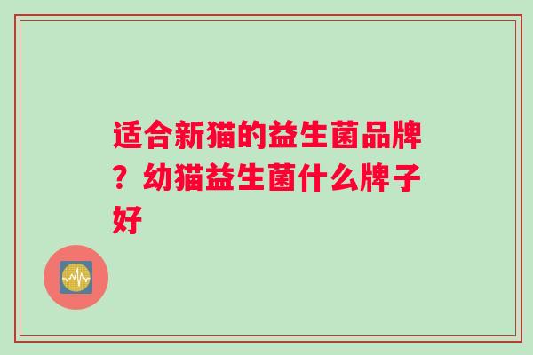 适合新猫的益生菌品牌？幼猫益生菌什么牌子好