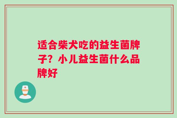 适合柴犬吃的益生菌牌子？小儿益生菌什么品牌好