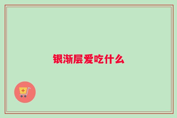 银渐层爱吃什么